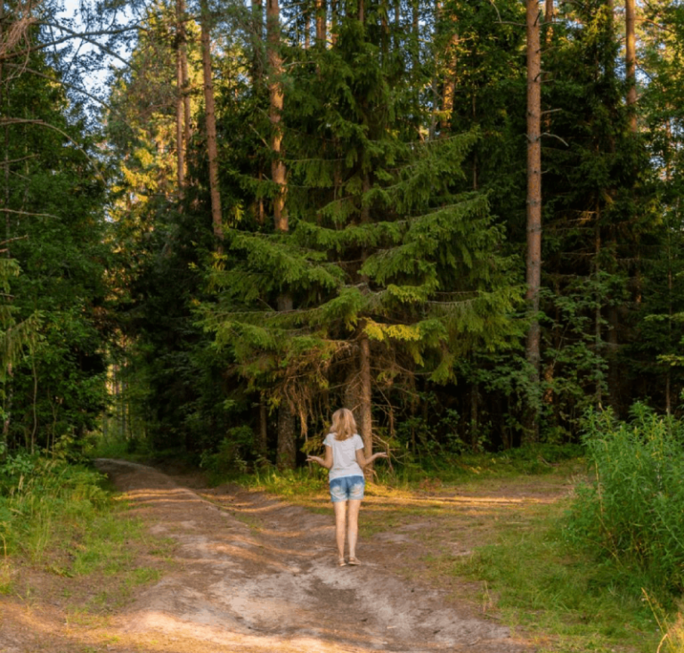 Retrouvez votre chemin de vie